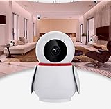 Überwachungskamera Innen, WLAN IP Kamera Indoor WiFi Camera für Haustier, Babyphone mit Kamera mit IR Nachtsicht, Hundekamera mit App, 360 Grad Kamera überwachung innen mit Alexa