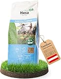 Hesa Gebrauchsrasen 1 kg für 40 m², RSM 2.3, schnellkeimende Premium Rasensamen Sport- und Spielrasen, Grassamen strapazierfähig und robust in Profiqualität