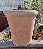 Generisch Schöner Blumentopf ø 29 cm mit Prnament/Lilie/Relief echt Terrakotta Terracotta Blumenkübel Pflanztopf Übertopf Garten Balkon mediterran Deko