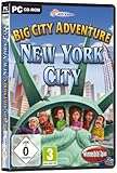 Big City Adventure: New York City