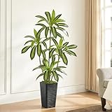 Künstlicher Dracaena-Baum, 152 cm, künstlicher Baum mit schwarzem hohem Pflanzgefäß, künstliche Yucca-Bodenpflanze im Topf, fast natürliche Dracaena-Seidenpflanze (fühlt sich echt an), für Zuhause,