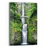DEQOART Glasbild Echtglas | Motiv Brücke der Natur | vertikal einteilig 40x60 cm | schöne Dekoration | Wandbild für Wohnzimmer, Schlafzimmer, Flur & Küche | moderne Wanddeko