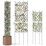 COSTWAY 3er-Pack Rankgitter, 164 x 48 cm, verstellbare Größe & DIY & Faltbar, Rankhilfe Metall, Spalier Garten zum Stecken, Rankspalier für Kletterpflanzen, Blumen, Rosen & Gemüse, Schwarz