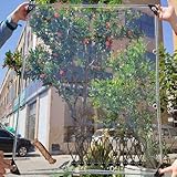 Wasserdichte Outdoor-Abdeckung für Terrassenmöbel, transparenter Pavillon, Baldachin mit Ösen, faltbar, Gartenschutz, 4 x 4 m, für Carport, Gewächshaus, Pool, Haustierstall