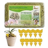 SGZIOO 500g Sphagnum Moos Pflanzen, Spagnummoos für Pflanzen, Sphagnum Moss mit 10 Gelbsticker Trauermücken, Moos für Orchideen, Torfmoos, Moos Sphagnum Erhöhung der Luftfeuchtigkeit