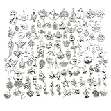 PLABBDPL Schmuck Anhänger set, 100pcs Gemischte Charms Silber, Schmuckanhänger zum Basteln,Ohrringe Selber Machen Perlen, Armband , ,Diy Mädchen