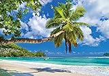 Forwall Fototapete Strand Meer Palmen Karibik Tropen Landschaft Wohnzimmer Schlafzimmer Vlies Tapete Wandtapete UV-Beständig Montagefertig (10332, V8 (368x254 cm) 4 Bahnen)