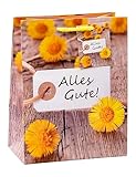 TSI Geschenktüten ALLES GUTE, 3er Packung, Größe: Mittel (HxBxT 23 x 18 x 10 cm), Art. Nr. 82015-3