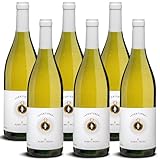 DELINAT – Albet i Noya Aventurer blanc 2022 – Spanischer Weißwein halbtrocken – Bio-Wein aus Penedès, vegan (6 x 0,75l)