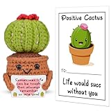 Pipihome Geschenke Positive Kartoffel, Geschenke Pocket Hug Potato Puppen Glücksbringer, Kreative Plüsch Figuren Lustige Potato Strickwolle Puppe, Geburtstagsgeschenk für Männer Frauen (Kaktus)