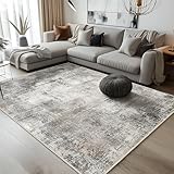 BEIMO Waschbarer Teppich Wohnzimmer, Abstrakt Design Teppich Schlafzimmer Kurzflor, Groß Teppiche rutschfest Weiche für Badezimmer Esszimmer Flur, 200x290cm