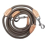 Hundeleine für Mittelgroße & Große Hunde, Multifunktionsleine Führleine für Hunde 2.1m Verstellbare mit 2 Karabiner, Robuste Nylon Dog Leash, Schleppleine Doppelleine für 2hunde (Beige, 1cm x 2.1m)