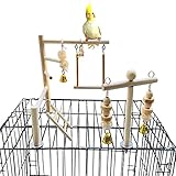 jinshang Vogelspielplatz Papageien Spielstation Sittich Käfig Spielständer Holz Sitzstangen Laufstall Leitern Conure Kauen Klettern Schaukel Spielzeug Vogelkäfig Zubehör für kleine Kakadu