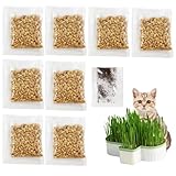 Luyuttn Katzenminze Samen 200 Pcs + Katzengras Samen 120g, Saatgut Katzenminze Pflanze, Catnip Pflanze Saat, Katzengras für Katzen, Katzengrassamen, Cat Grass Seeds, Katzenminze-Samen