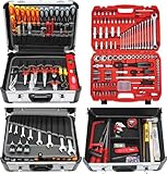 FAMEX 419-43 Profi Alu Werkzeugkoffer 191-/275-teilig - mit umfangreichem Werkzeug Set und Steckschlüsselsatz 4-32 mm