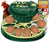 Dural’s DX3© Brutautomat Vollautomatisch für 12 Eier | Temperatur & Feuchtigkeitskontrolle | Automatische Wendung & LED-Schierlampe | Für Hühner, Wachtel, Enten & Gänseeier