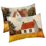 Outdoor Kissen 50x80 cm 2er Set, Sommer Kissenbezug 50x80 Outdoor Wetterfest Kissenbezüge Häuser Dekorative Leinen Kopfkissenbezug für Deko Balkon Patio Garten Kissenhüllen, Geschenke Frauen T-6807