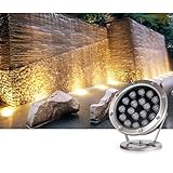 THEGA Unterwasser LED Leuchten – IP68 wasserdichte Niedervolt-Tauchleuchte, 12/24 V Unterwasser-Teichstrahler, RGB-Farbwechsel-LED-Unterwasserleuchte für Schwimmbecken,Teiche(Red,24W-24V)