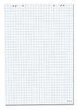 Herlitz Flipchartblock, 65x99cm (kariert/gelocht), 5 Blöcke (20 Blatt je Block)