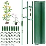 ShengBiLong Pflanzenstütze, 20 Stück Pflanzenhalter, mit 20 Karabinern Ausgestattet, mit 10 Verlängerungsrohren, Tomaten Rankhilfe, Rankhilfe Zimmerpflanzen, Staudenhalter, Pflanzen Stütze（90PCS）