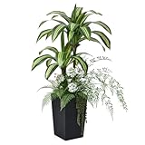 VeriNatural Künstliche Pflanze Drachenbaum 120 cm – Kunstpflanzen wie echt mit 6 Mini Pflanzen & UV Schutz – Große Plastikpflanze Künstlich mit Schwarze Topf Deko Wohnzimmer Büro Innen & Auße, VN151