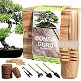 Bonsai Baum Kit mit 4 Arten von Samen, Bio Kokosfaser Ziegelsteine, Bonsai Topf, Pflanzenmarker, Bonsai Werkzeuge, Bonsai Starter Kit mit japanischer Stil Holz Geschenkbox DIY Growing Kit, Coole