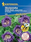 Kiepenkerl Profi-Line Glockenrebensamen Violett 3505 – Ideal für Zäune, Rosenbögen, Lauben, Balkone oder Rankgitter - Blumensamen, Balkonpflanzen, Saatgut