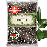 ORAGARDEN Ficus Erde für Zimmerpflanzen und Garten - 3L Ficus Substrat für Pflanzen, Palmen, Blumen - 6 Komponenten Blumenerde