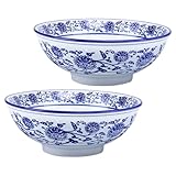 TOYZFRIENDY 2 Stück Keramik Schüssel Retro Design mit Feinem Muster Spülmaschinenfest Vielseitige Restaurant Nudelschale für Familie Hotel Feierlichkeiten