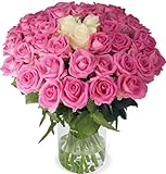 Blume Ideal Rosenstrauß 'Pink Special' | 20 Pink-Weiße Rosen | Ø 40–50 cm | Premium Rosen von Floristen | Top Qualität | 7-Tage-Frischegarantie | Ideales Blumengeschenk