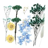 Anneome 1 Packung Geschenktüte Blumenschaumblöcke Künstliche Blumen Getrocknete Lavendelblüten Für Dekoration Scrapbook Gepresste Blumen Blaue Gepresste Blumen Getrocknete