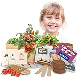 Kinder Anzuchtset für Zuhause, Zimmer, Balkon – 5-10 Jahre - Holzbox zum Bemalen, Microgreens Starter Set – Experimentierkasten & Pflanzset für Kinder, Kreativ - Geschenk für Mädchen & Jungen