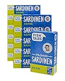 Fish Tales MSC-Pilchard Sardinen in Olivenöl – 12 Dosen – aus nachhaltigem Fang – schnell, einfach und lecker zubereitet – 12 x 120 g