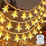 cshare Led Lichterketten Sterne Außen, 6M 40LED Fünfzackiger Stern Batteriebetriebene Lichterkette mit Timer IP65 Wasserdicht für Jar Garten Camping Weihnachten Innen Außen Dekorationen,Warmweiß