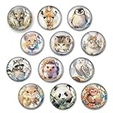 12 Stück Magnete，Magnete für magnettafel，kühlschrank，kühlschrankmagnete，kühlschrank，Magnet，magneten