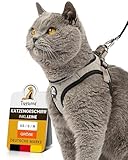 Tierhood - Katzengeschirr Set mit Leine für kontrollierte Freiheit - Softgeschirr - Komfortabel, Einstellbar & Robust - Geschirr für aktive Katzen (Grau, Größe S)