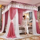 Betthimmel-Vorhänge mit Prinzessinnen-Motiv, doppellagiges Netzgewebe für Mädchen, passend für Einzel-/King-Size-Bettrahmen, eleganter Betthimmel für verträumte Schlafzimmer-Dekoration