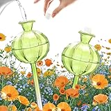 shallyong 2 Stück Bewässerungskugeln Glas, Wasserspender Pflanzenn Bewässerung Glaskugeln, Automatisches Selbstbewässerungssystem für Zimmerpflanzen, Topfpflanzen Innen Deko und Garten (Grüner Kaktus)
