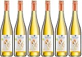 Winzerverein Deidesheim B I O - tête-à-tête - Riesling & Gewürztraminer 2024 Feinherb (6 x 0.75 l)