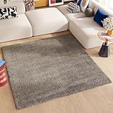 TAPISO Essence Teppich Quadratisch Shaggy Hochflor Langflor Grau Einfarbig Weich Modern Design Wohnzimmer Schlafzimmer ÖKOTEX 120 x 120 cm