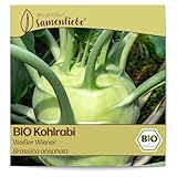 Samenliebe BIO Kohlrabi Samen alte Sorte Weißer Wiener 200 Samen samenfestes Gemüse Saatgut für Gewächshaus Freiland und Balkon BIO Gemüsesamen