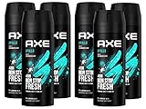 Axe Bodyspray Apollo ohne Aluminiumsalze 6x150ml