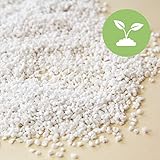 Terra Exotica Perlite 10, 20 oder 100 Liter Perlit für Pflanzen, ideal für Orchideen - zur Boden- Substratverbesserung und Bodenbelüftung (20 Liter)
