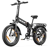 VARUN E Bike 20 * 4,0 Zoll Mountainbike, Elektrofahrrad Klapprad mit 250W Motor, 48V13Ah Lithium-Batterie, LCD-Meter, geeignet für Berg Schnee, Straße Fahren
