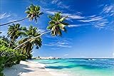 Muralo Fototapete Strand 180 x 270 cm Vlies Tapete Wandtapete Ozean Himmel Palmen Wohnzimmer Schlafzimmer moderne Wandbilder XXL Natur Panorama Wasser Wand Dekoration