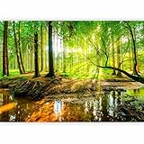 murando - Vlies Fototapete Wald 400x280 cm - Foto Tapete Schlafzimmer Wohnzimmer Moderne Vliestapete XXL Wandtapete Motivtapeten Bildtapete 3d Effekt Wand Dekoration - Sonnenschein c-B-0241-a-a