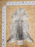 Provellus Schaffell Naturfarbe Unikat 451-016