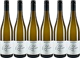 Baldes Zeller Schwarze Katz Riesling 2024 Feinherb (6 x 0.75 l)
