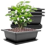 LDHHYH 8 Stück Bonsai Schale Groß,23x17x8cm Bonsaischale mit Tabletts, Kunststoff Bonsai Schale,Bonsai Töpfe Geeignet für Gärten Innenhöfe Büros Wohnzimmer Balkone (Schwarz)