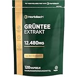 Grüntee Extrakt 12480 mg pro Tagesdosis | 120 Pulver Kapseln | Hochdosiert Green Tea | Vegane | von Horbaach